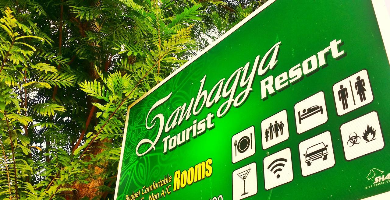 Saubagya Inn Анурадхапура Екстериор снимка
